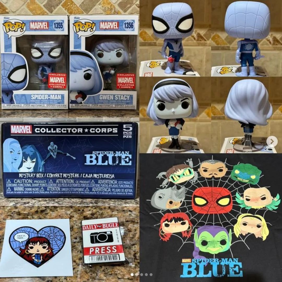 Funko Marvel Collector Corps Box - Spiderman Blue