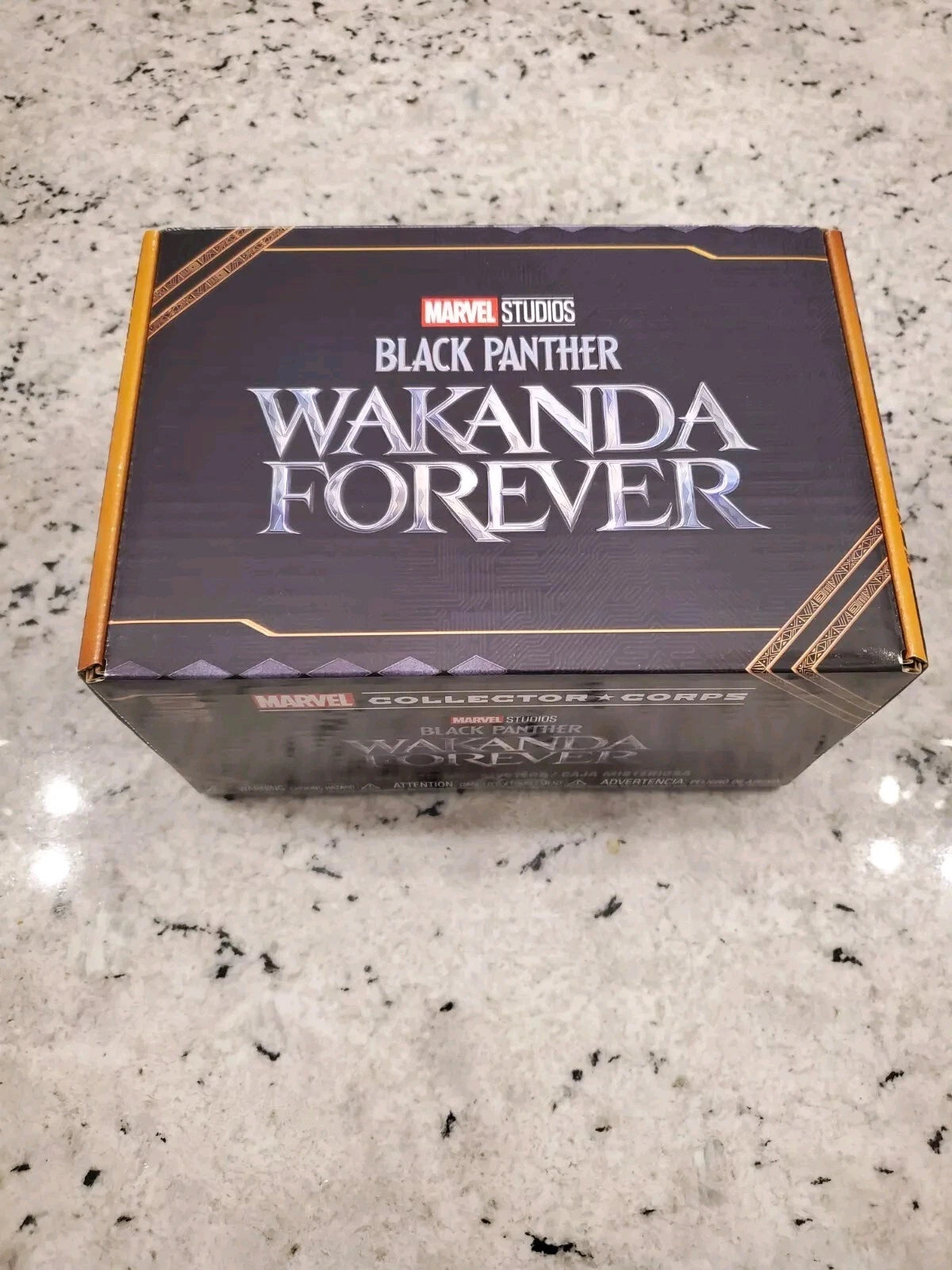 Funko Box Marvel Collector Corps - Wakanda Forever (Talla L)